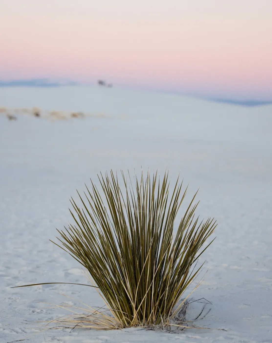 White Sands at dusk, from Issue 07: Las Cruces
